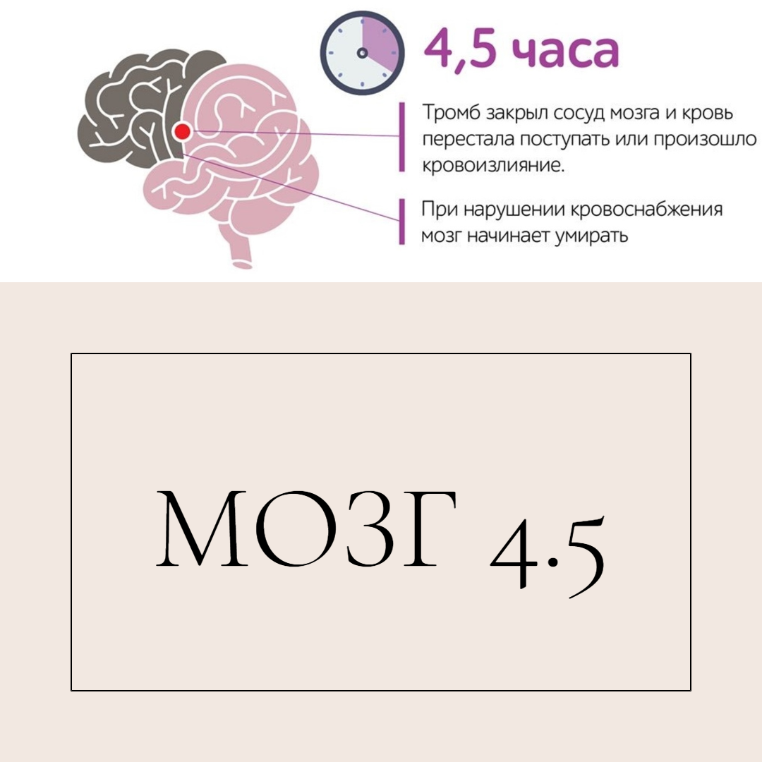 Мозг 4 5. Мозг 4.5 листовка. Проект мозг 4.5. Поражение мозга при инсульте. М.О.З.Г. 4,5 проект.